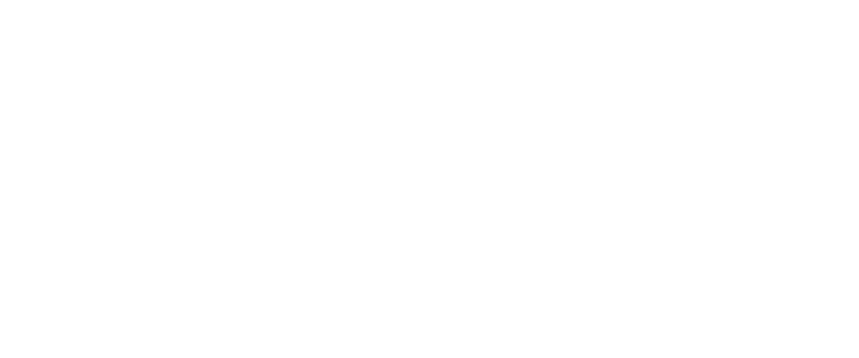 Logo Speybl